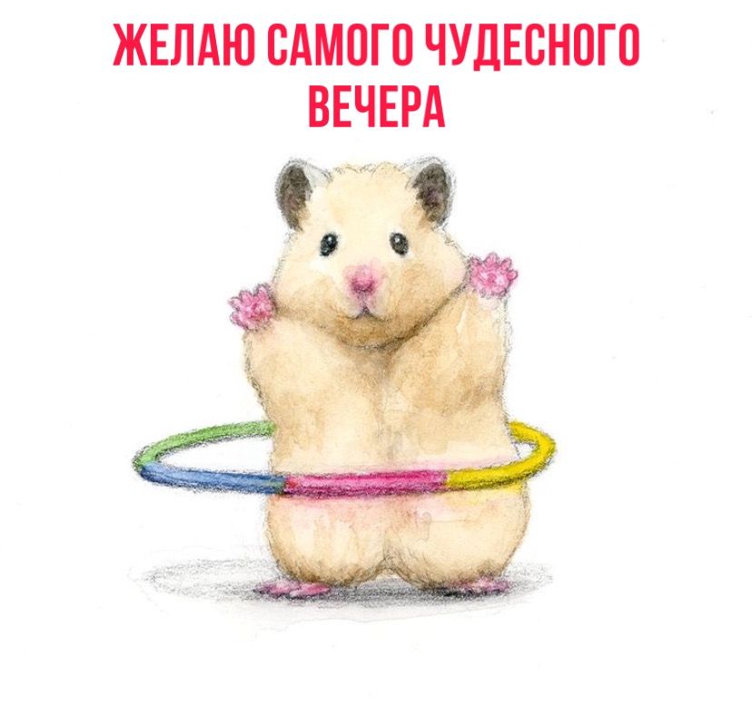 Желаю самого чудесного вечера