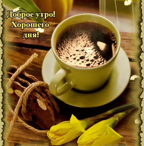 Доброе утро! Хорошего дня!