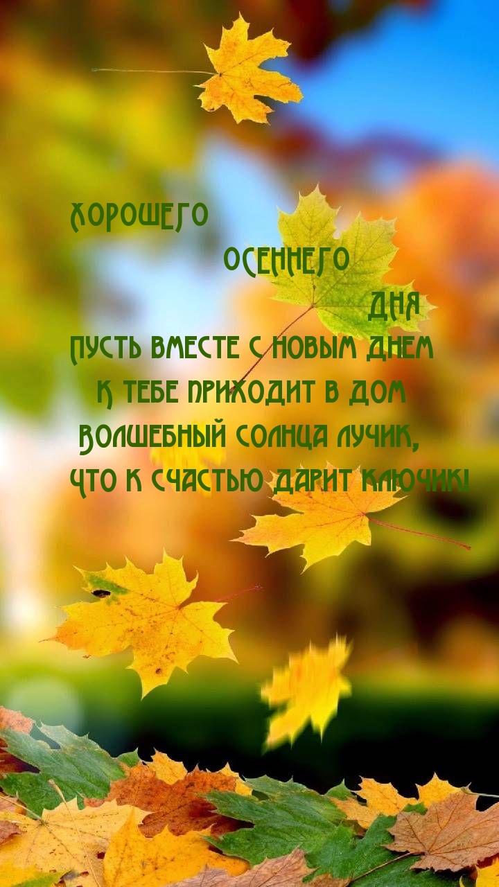 Хорошего осеннего дня!