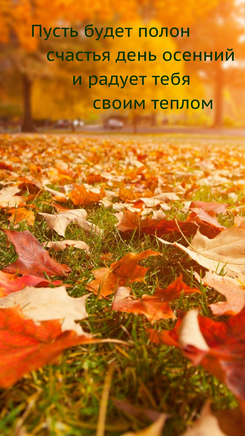 Пусть будет полон счастья день осенний