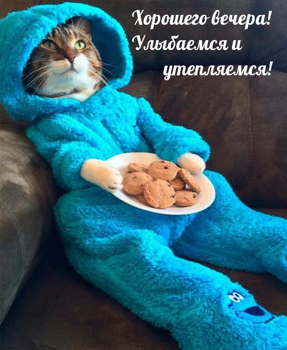 Хорошего вечера! Улыбаемся и утепляемся!