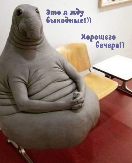 Это я жду  выходные!)) Хорошего вечера!)