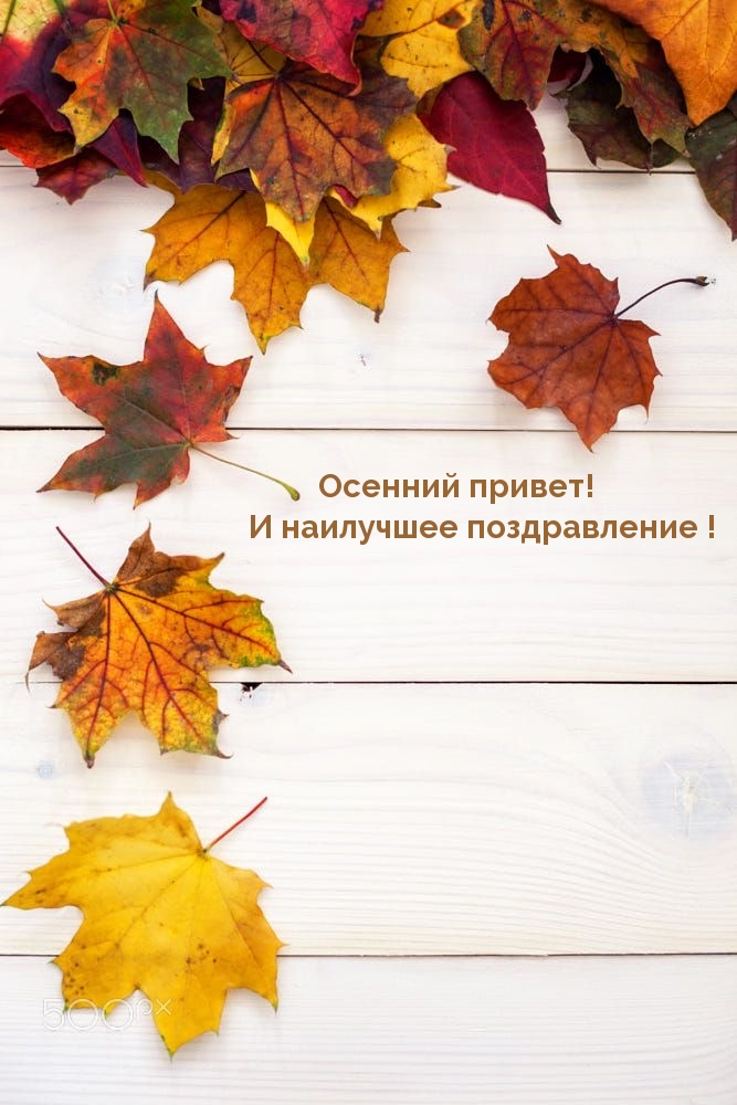 Осенний привет! И наилучшее поздравление!