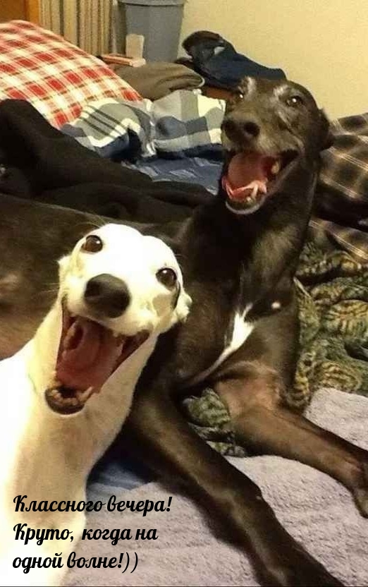 Классного вечера! Круто, когда на одной волне!))