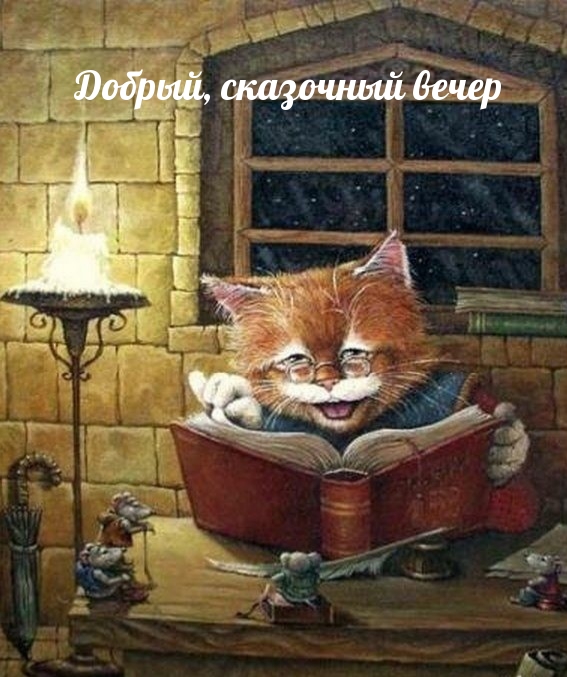 Кот читает книгу — Добрый вечер