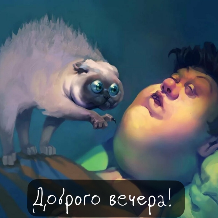 Кот на спящем человеке — Доброго вечера!