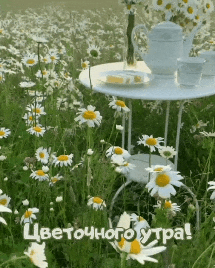 Цветочного утра!