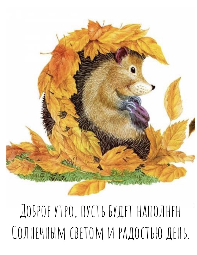 Доброе утро, пусть будет наполнен солнечным светом день.