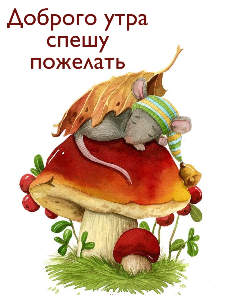 Доброго утра спешу пожелать