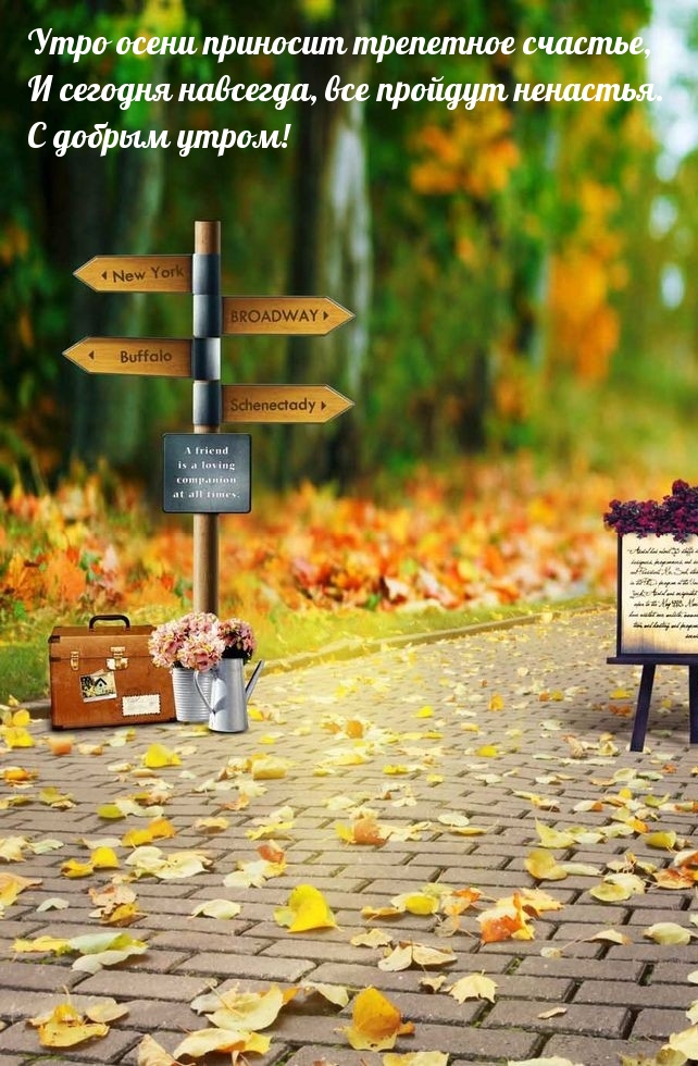 Сегодня навсегда, все пройдут ненастья. С добрым утром!