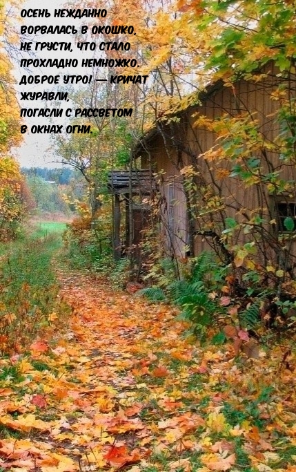 Осень нежданно ворвалась в окошко