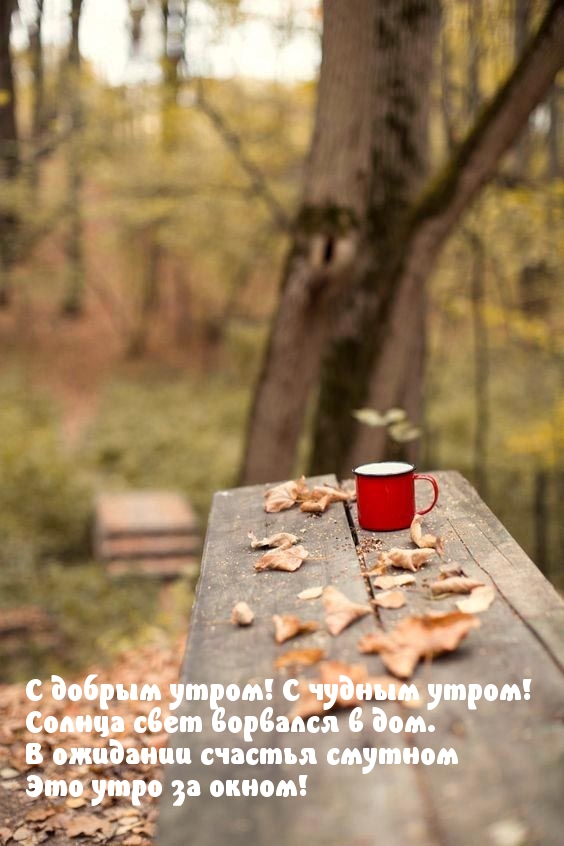 С добрым утром! С чудным утром!