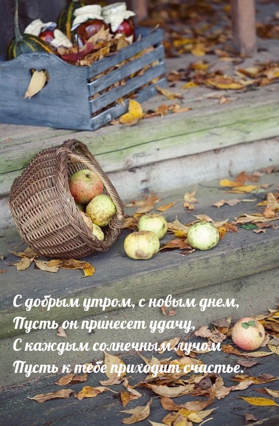 С добрым утром, с новым днем