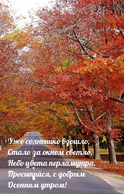 Просыпайся, с добрым осенним утром!