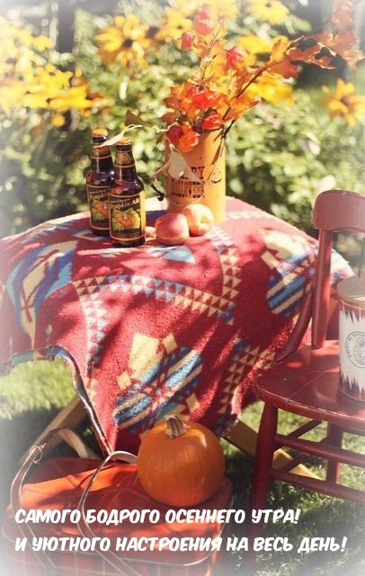 Самого бодрого осеннего утра!