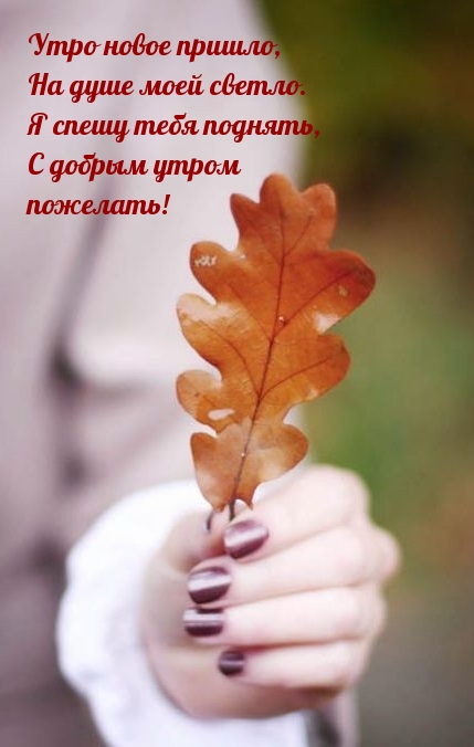 С добрым утром пожелать!