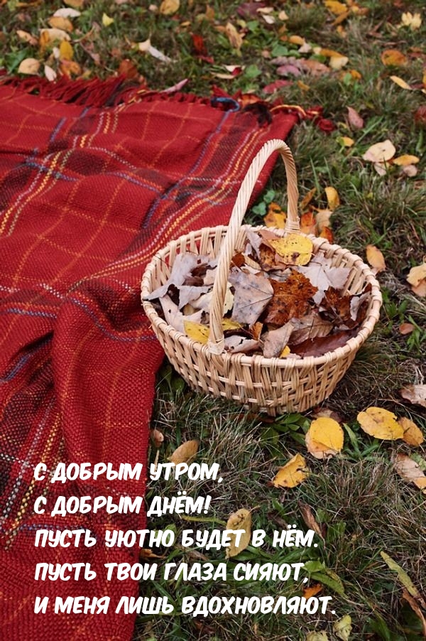 С добрым утром, с добрым днём!