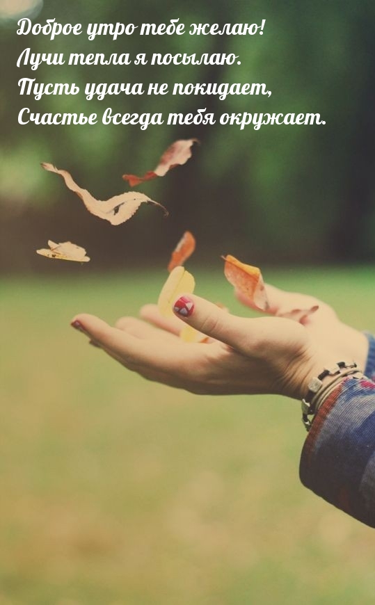 Доброе утро тебе желаю!