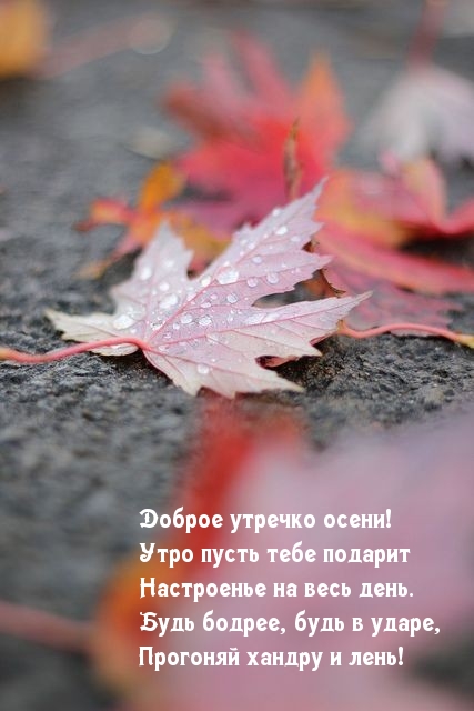 Доброе утречко осени!