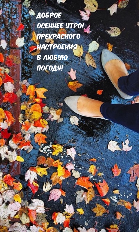 Доброе осеннее утро! Прекрасного настроения в любую погоду!