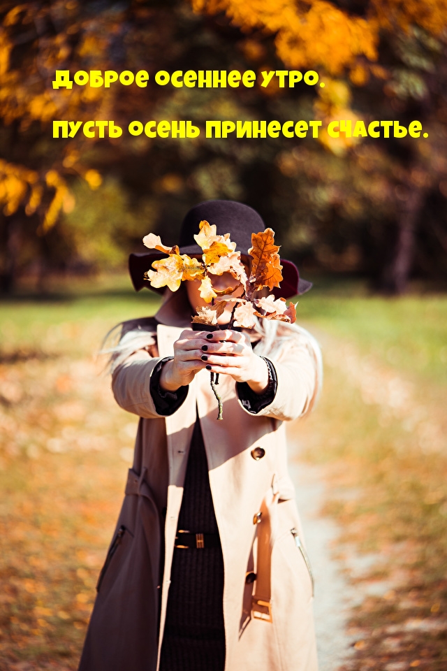 Доброе осеннее утро. Пусть осень принесет счастье.