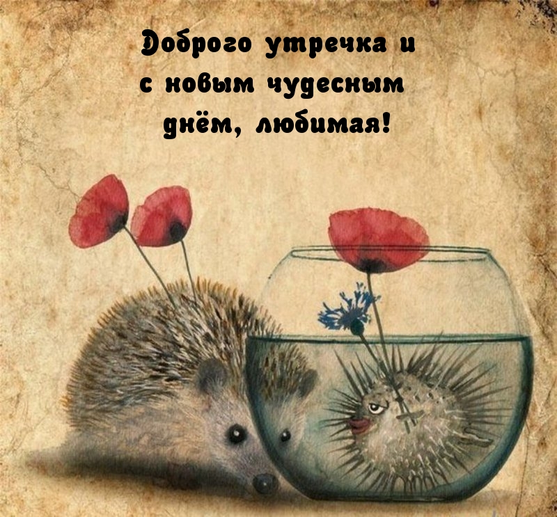 Доброго утречка и с новым чудесным днём, любимая!