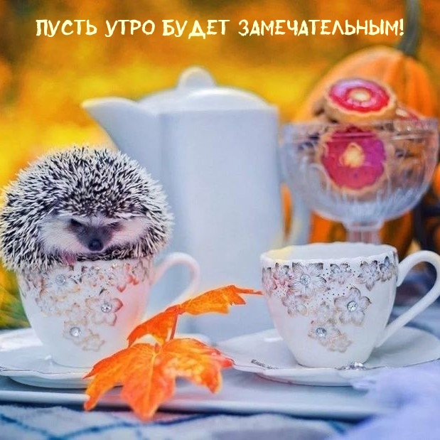 Пусть утро будет замечательным!