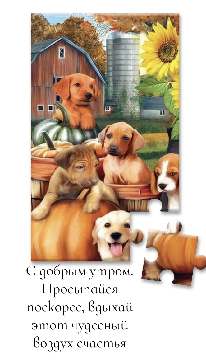 С добрым утром. Просыпайся поскорее