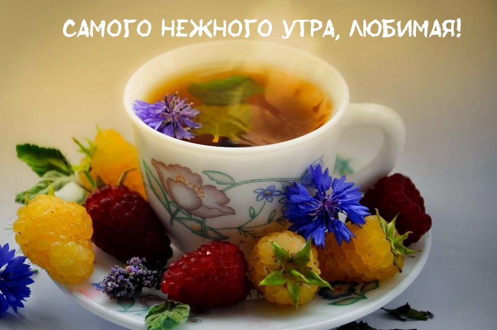 Самого нежного утра, любимая!