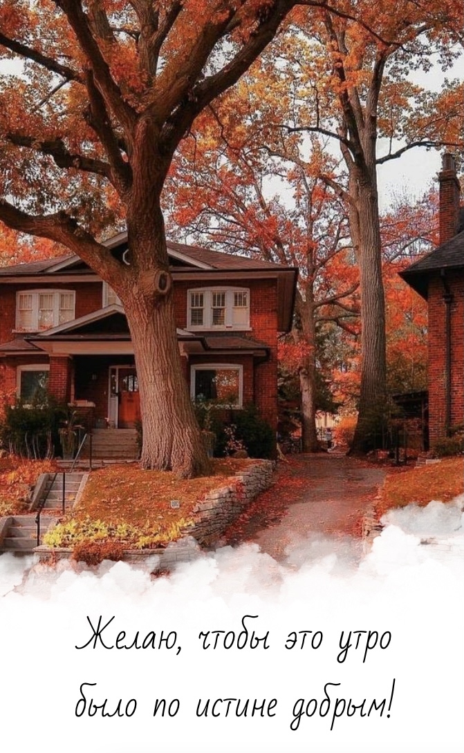Желаю, чтобы это утро было по истине добрым!