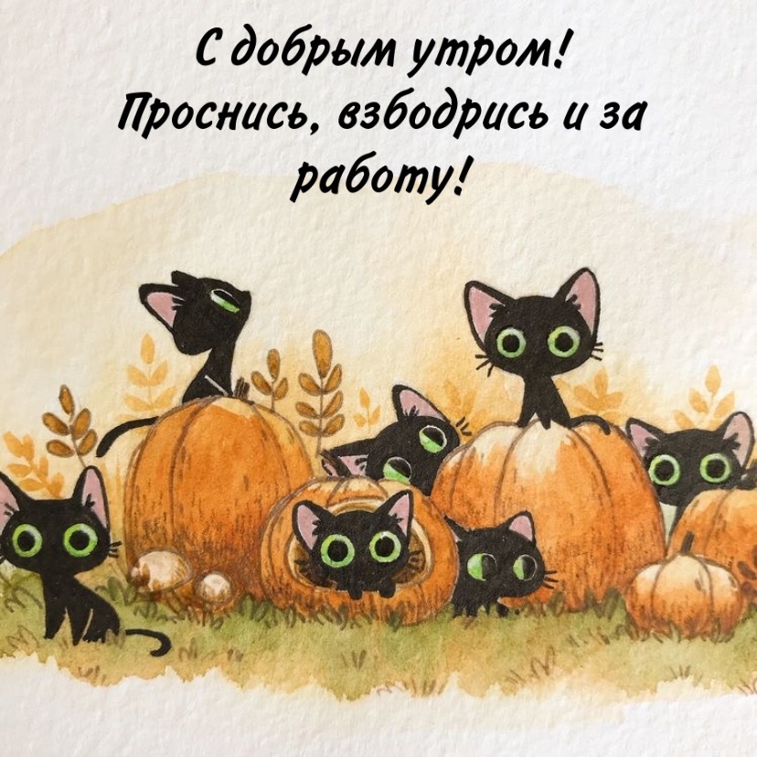 С добрым утром! Проснись, взбодрись и за работу!