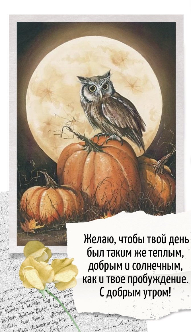 С добрым утром!
