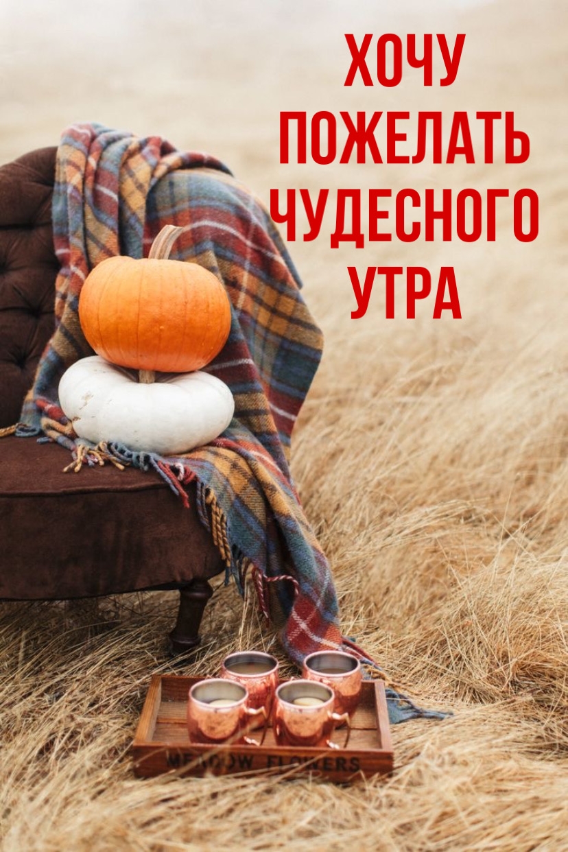 Хочу пожелать чудесного утра