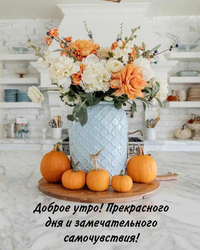 Доброе утро! Прекрасного дня и замечательного самочувствия!