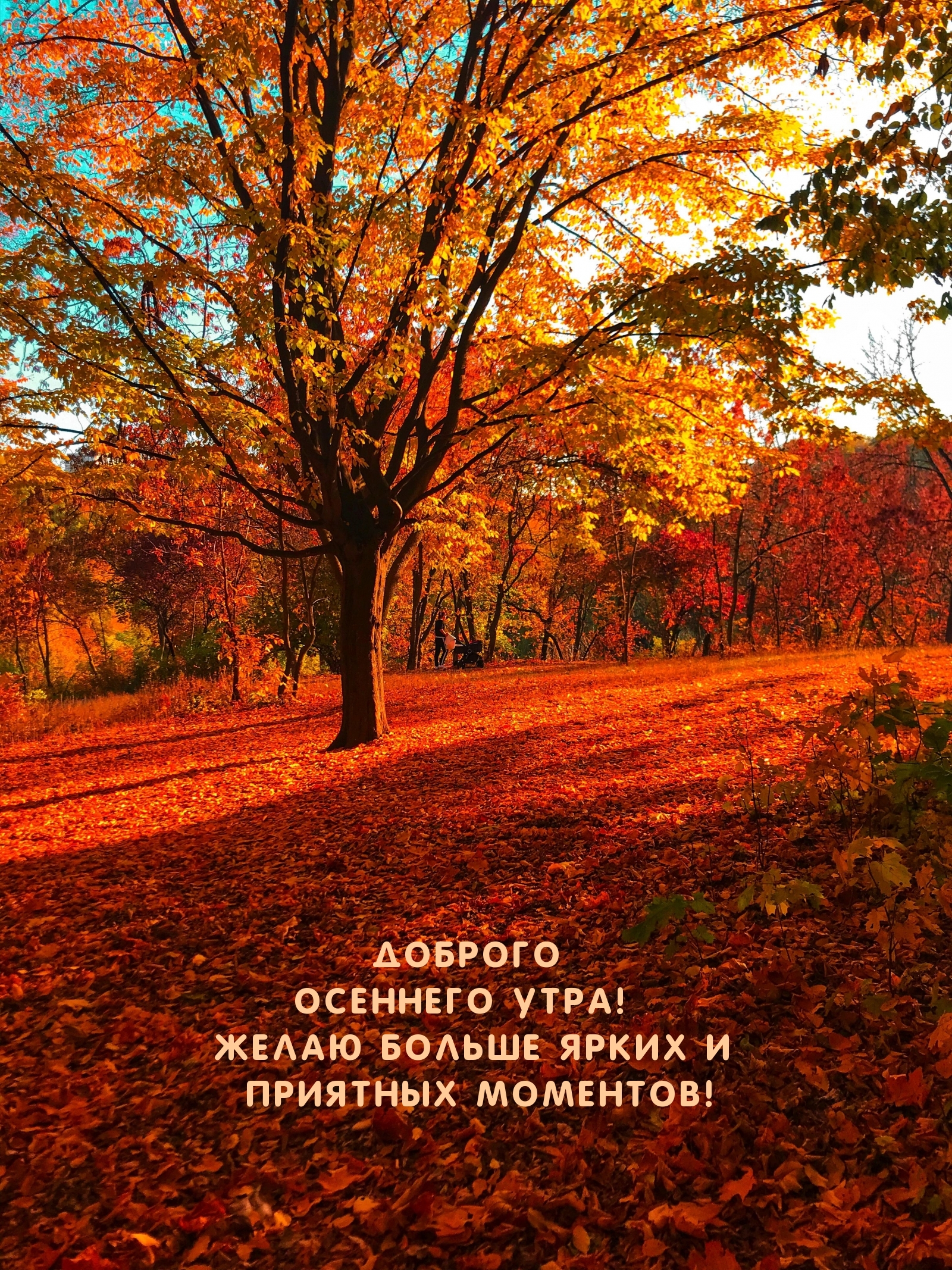 Доброго осеннего утра! Желаю больше ярких моментов!