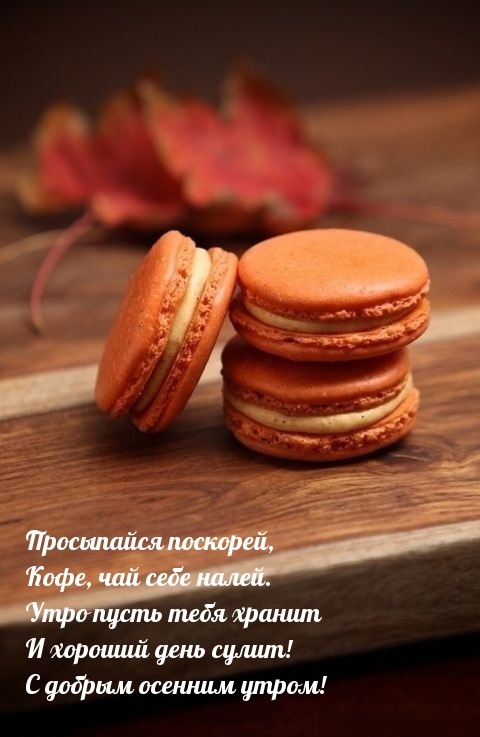 С добрым осенним утром!