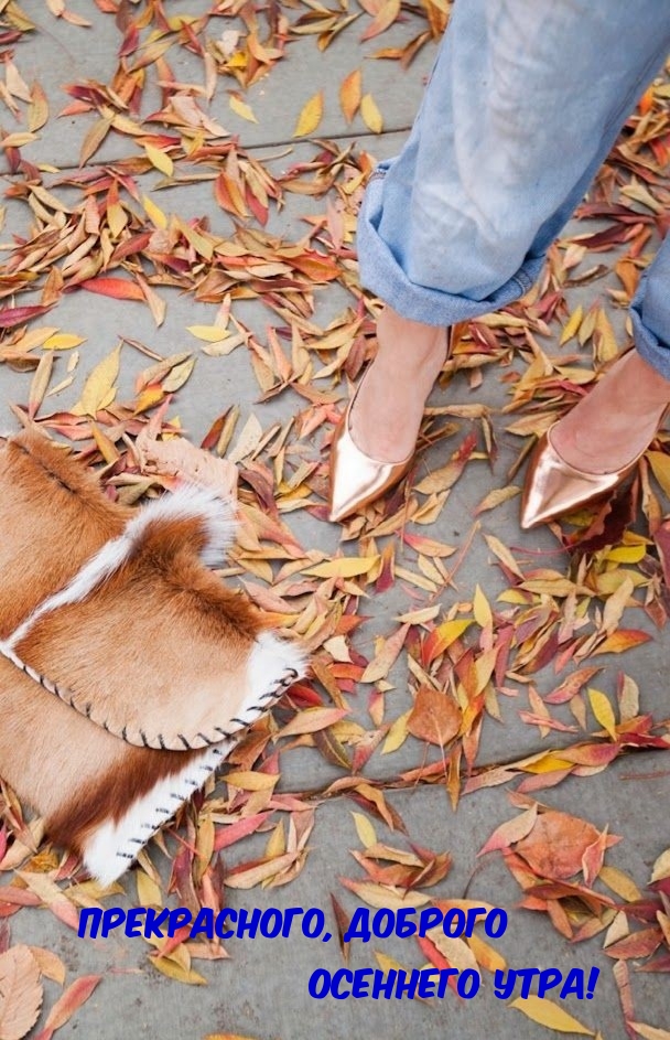 Прекрасного, доброго осеннего утра!