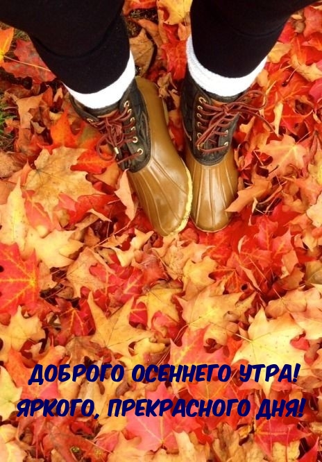 Доброго осеннего утра! Яркого, прекрасного дня!