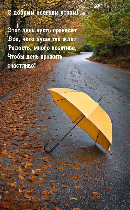 С добрым осенним утром!