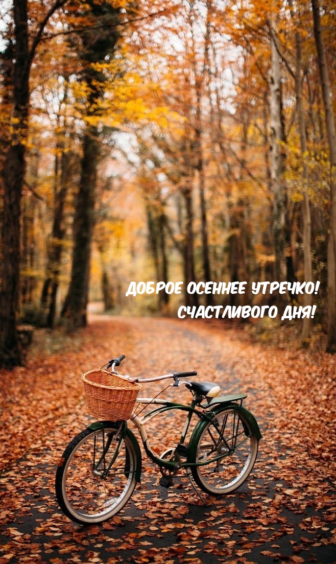 Доброе осеннее утречко! Счастливого дня!