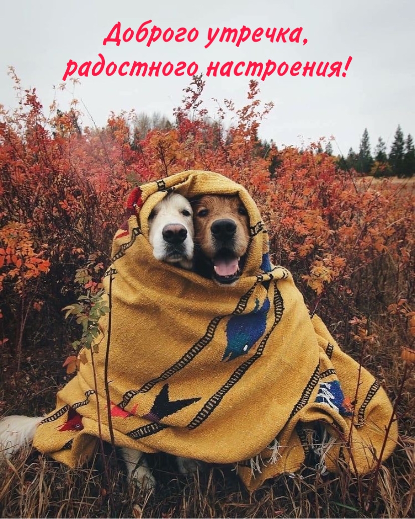 Доброго утречка, радостного настроения!