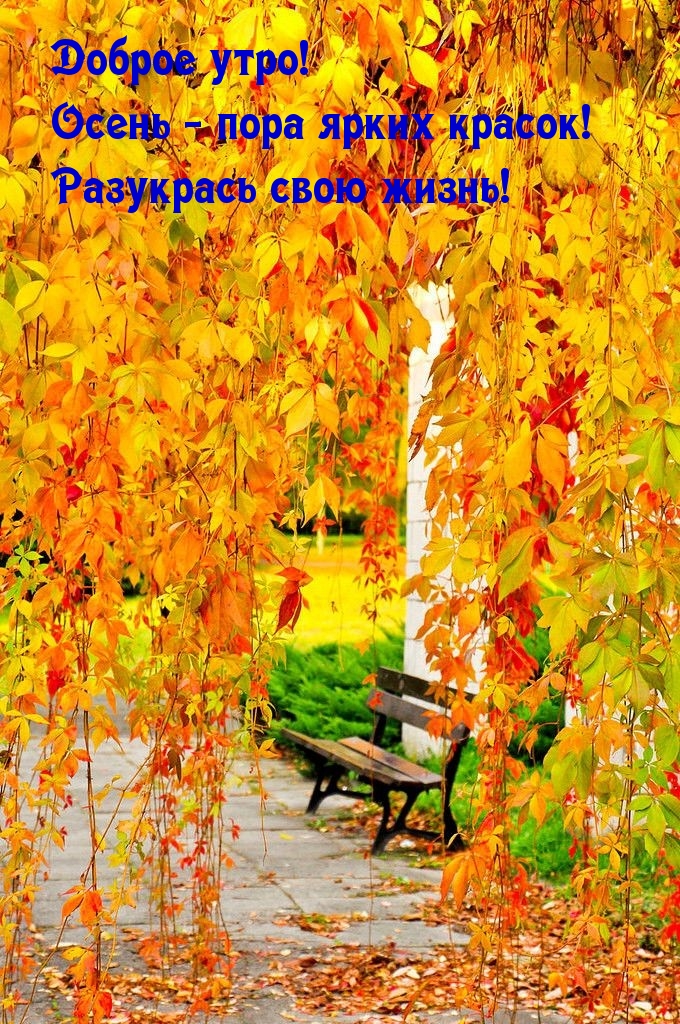 Доброе утро! Осень — пора ярких красок! Разукрась свою жизнь!