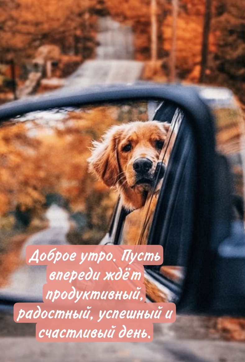 Доброе утро. Пусть впереди ждёт счастливый день.