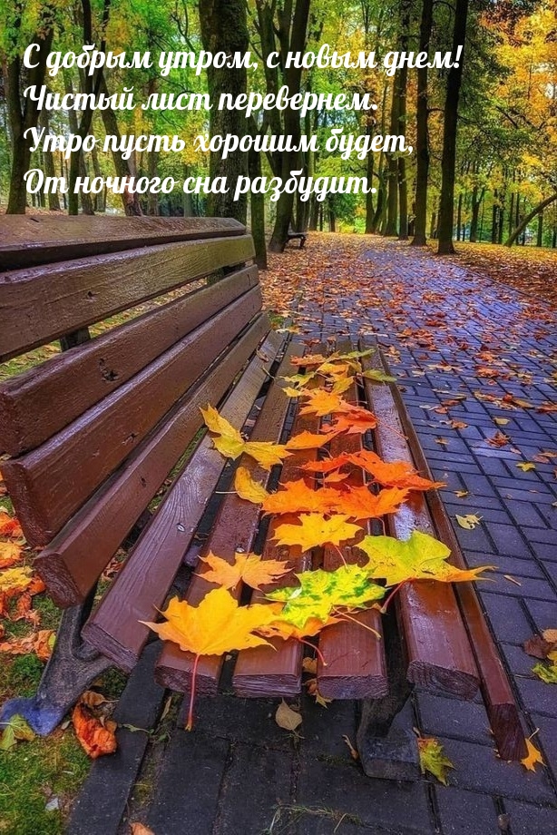 С добрым утром, с новым днем! Чистый лист перевернем.