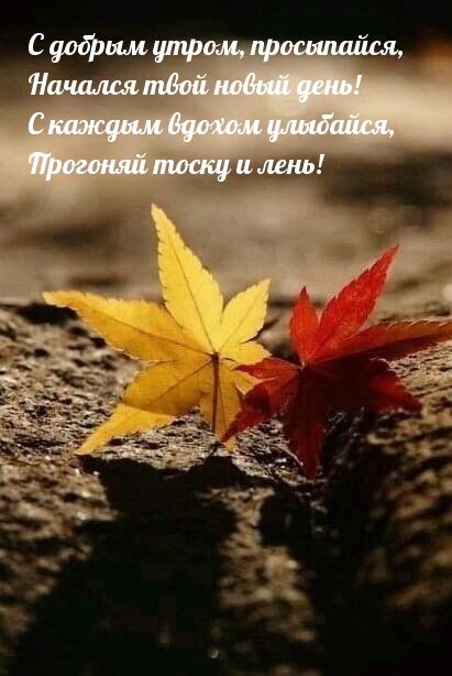 С добрым утром, просыпайся