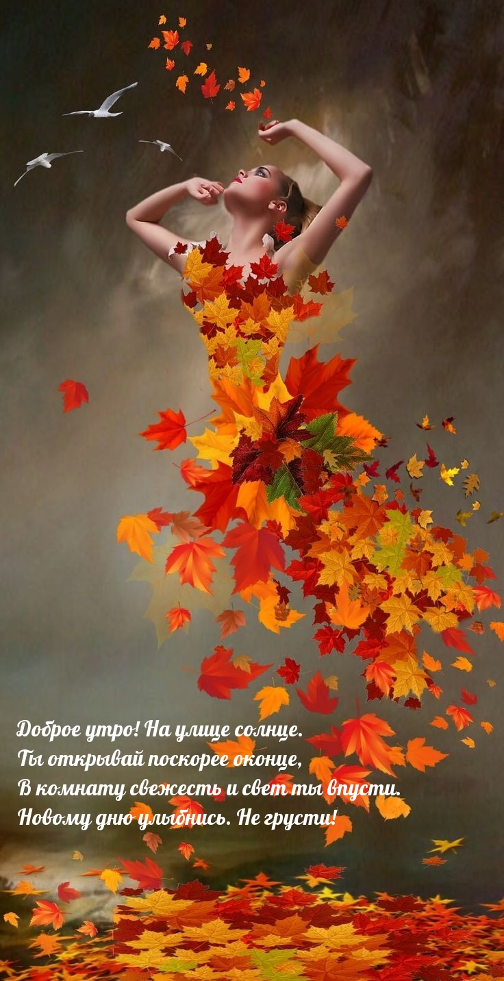 Доброе утро! На улице солнце.