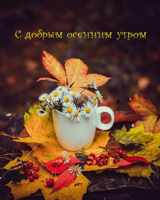С добрым осенним утром
