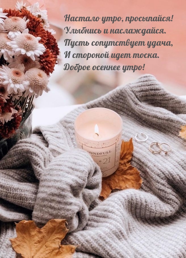 Настало утро, просыпайся! Доброе осеннее утро!