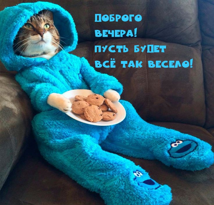 Доброго вечера! Пусть будет всё так весело!