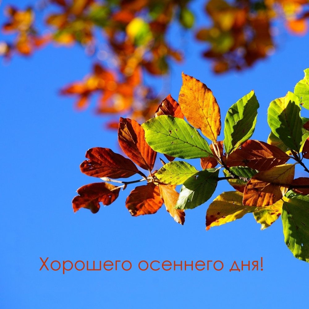 Хорошего осеннего дня!